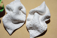 Load image into Gallery viewer, LUSH- white lace